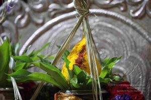 20180403 Photo 1118 1fBrUR5O9xucgGNMzHRI3sUU66DG4wYew.JPG