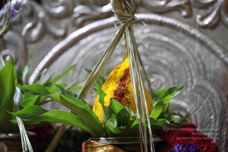 File:20180403 Photo 1118 1fBrUR5O9xucgGNMzHRI3sUU66DG4wYew.JPG