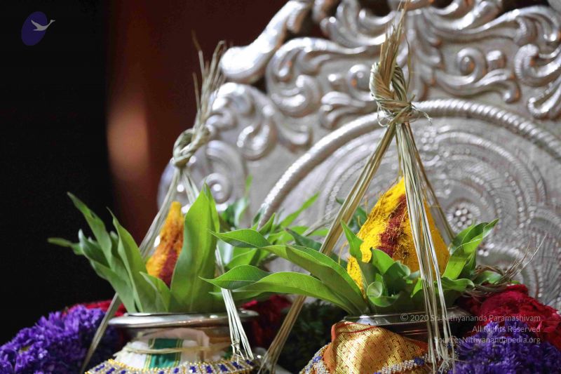 File:20180403 Photo 1120 1gOa2whZU3QgHFcXxYrU0zI sQYcEwtqb.JPG