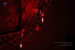 20180403 Photo 1126 1PNWDlMN82MxMF9gOY9qY3L0cYKeFJLVk.JPG