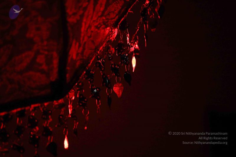 File:20180403 Photo 1126 1PNWDlMN82MxMF9gOY9qY3L0cYKeFJLVk.JPG