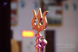 20180403 Photo 1151 18b6guI- 7fJhZ3TFLwdVpJY2IRIRGvHG.JPG