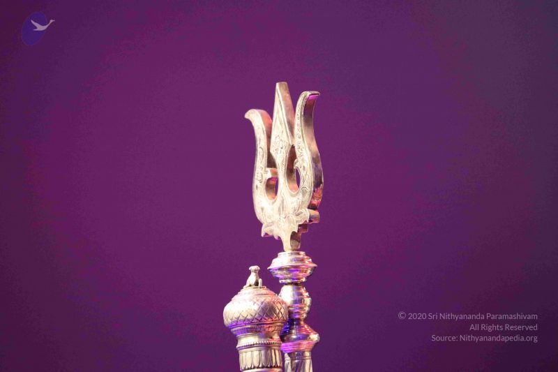 File:20180403 Photo 1243 1RGux3MfEFQmk0kik-bhq2wVcpLXlDaIt.JPG