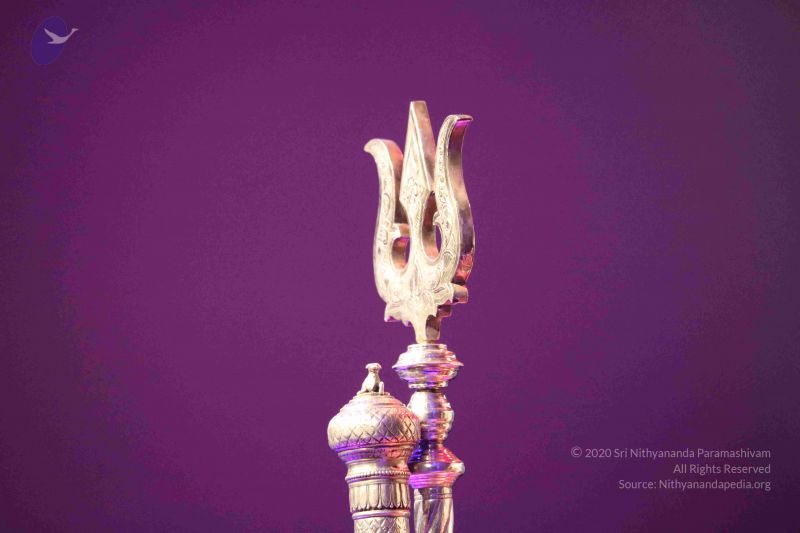 File:20180403 Photo 1244 1KqSufVEm7iKFdevT8oYhz7WZkx50w pu.JPG