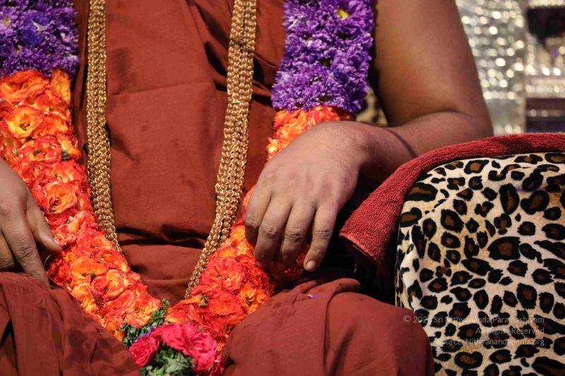 File:20180403 Photo 1310 1lArmpznWGKsD-tPgRh-EObowqVNct2uE.JPG