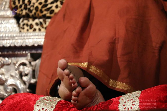 20180408 Photo 497 1nGecLEokS2KIHi38i9L2VPvsGMt4IkQJ.jpg