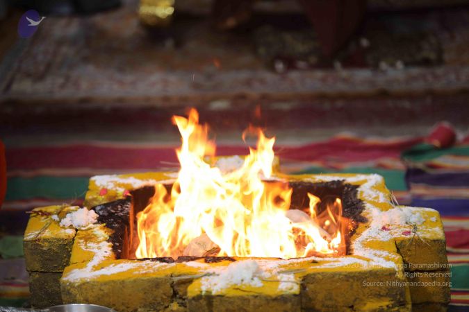 20180411 Photo 1040 1V5o44lJTcFAckUTLbWujiBy7 hM6ryEQ.JPG