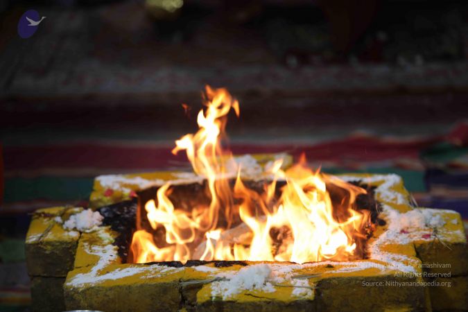 20180411 Photo 1041 1qQ4Ra5IMiRXOzribaLt6XgdUeTtctHHB.JPG