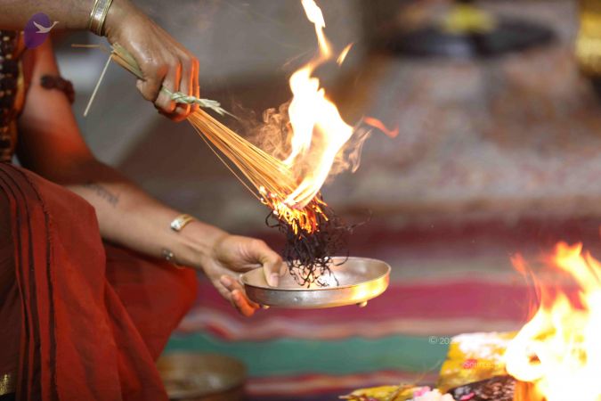 20180411 Photo 1043 1FQIMlXHyjP7pG6ME1SqTLPXjFMdqMNKG.JPG