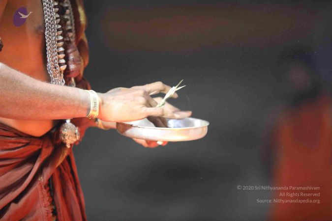 20180411 Photo 1047 15E b0eC0AxGby5SqoQI3stLUF2GrW8-v.JPG