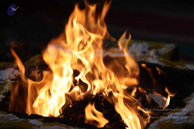 20180411 Photo 1048 1tyDirtxovVf-j DBD2Z4MtJur98 bNqi.JPG