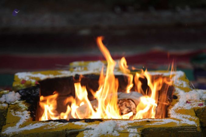 20180411 Photo 182 1 catsVgpHU1wYXUR2jxaluTLw7d-5v2y.jpg