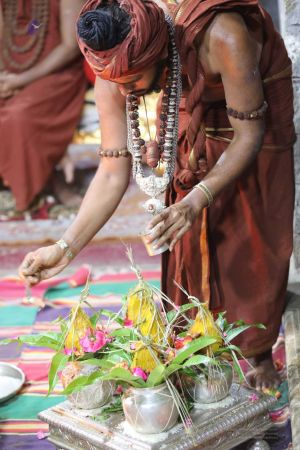 20180411 Photo 214 1d5TZKLbknBfi3e5iJ wR1hUOslMaORgR.jpg