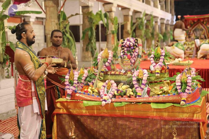 20180413 Photo 1139 1ji8paK4Y9uN5wCKJ-36vkzXgBbk PRkg.JPG