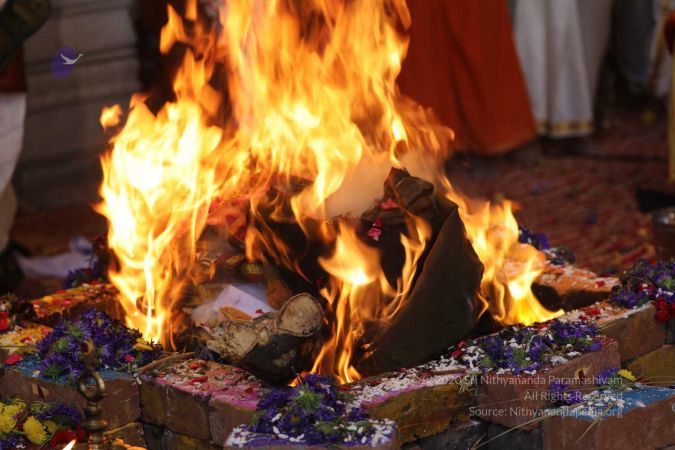 20180414 Photo 1264 1Ds4ok0kAOubeqHFBFCS9-It-0VQQHPVB.jpg