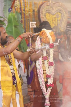 20180414 Photo 1283 1cPNwhpebFGUp6vjcRjbQU07o2JbPtLtb.jpg