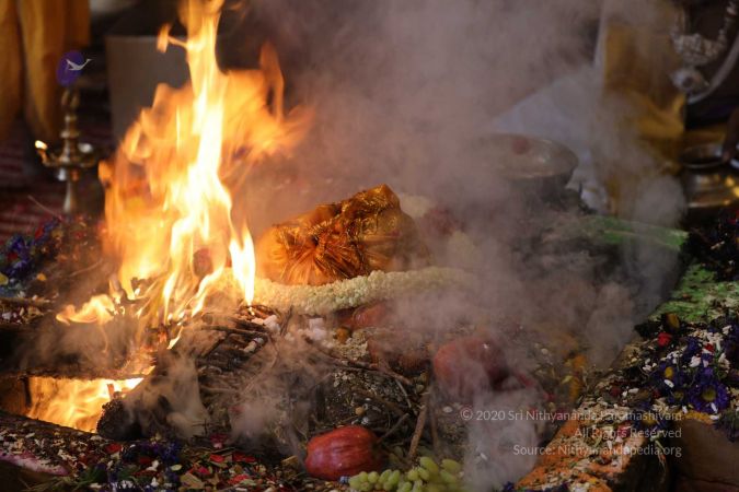 20180414 Photo 1287 1J04Wqm8Ws2ku9p6ecxrZKQfoyrx JY99.jpg