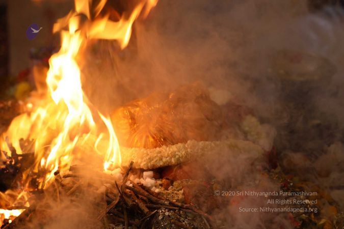 20180414 Photo 1288 1u-nTiZy71KI468eTgYFKCoeTB97rf2-Z.jpg