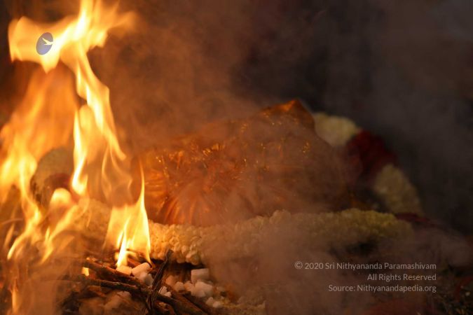 20180414 Photo 1289 1QqjTtxZrT0spOC6xrkW-fSdBiv8-f8Hb.jpg