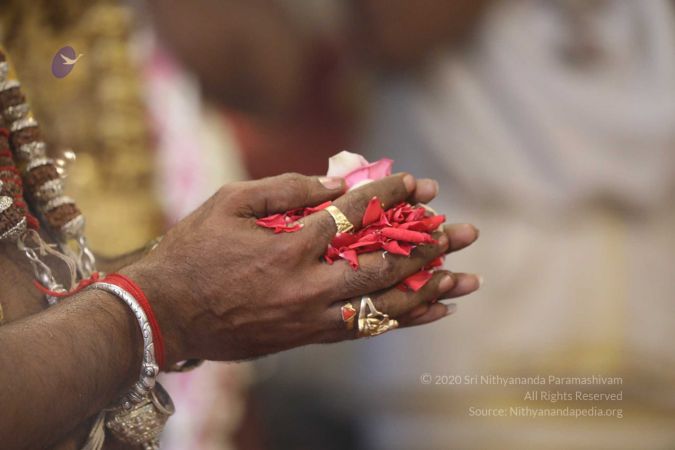 20180414 Photo 1319 1GEkWVx8t6HJzP1Yxyorm6sdfGmXRM8ty.jpg