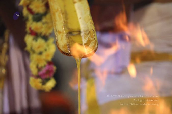 20180414 Photo 1380 10XJ4X 4zokthXloFNF5Wjyvt2HYml1Tc.jpg