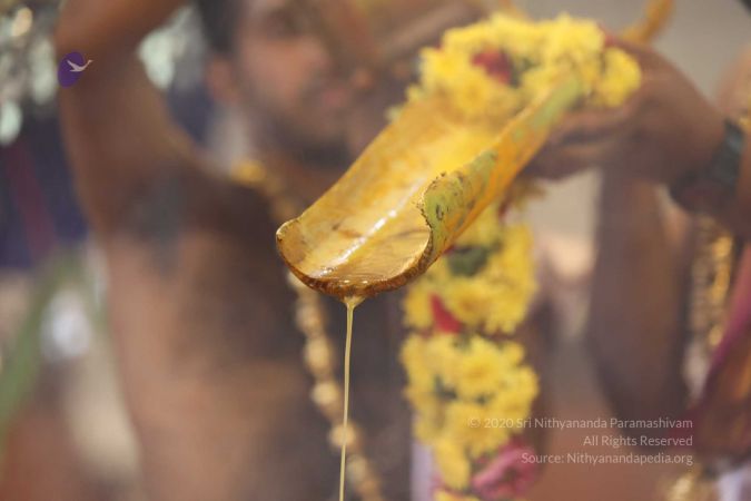 20180414 Photo 1387 1OH9Y40CU0x0RSe0wFWQ 1CLHCcb7diSj.jpg