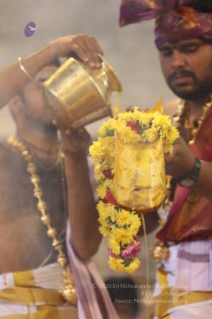 20180414 Photo 1388 1LU5k7duLLXRM9LHea5mjO2UiRTfxRUn6.jpg