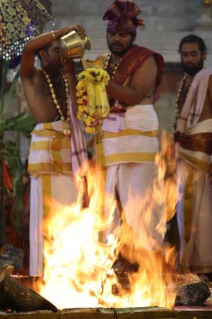 20180414 Photo 1393 1tTsBXNTsYL1MyYetgOQ4qfPUnowKLueP.jpg