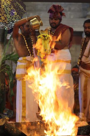 20180414 Photo 1394 1Xu8vI-sDhLfVeM8HNYCbLMKFzv41lxXC.jpg