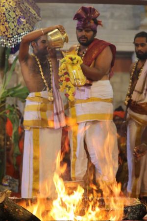 20180414 Photo 1395 18IoWi4cX1V0 d2UHbU0iMg8HzCfRkjFH.jpg