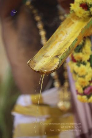 20180414 Photo 1399 1BY2uM110pOvIOh Q7dOKJ5XDhWKJSLLl.jpg