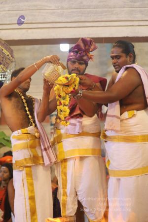 20180414 Photo 1406 1GT evn9QS8bup7rycZQwkrdww-pSfvgJ.jpg