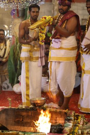 20180414 Photo 1410 1Y6zNKKnVlQ5BFurstE7spXKzorBSk7YD.jpg