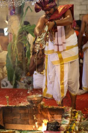 20180414 Photo 1420 1F0qGFqC54SDlEF-JH0KAlE6Aqii8CQvp.jpg