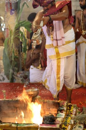 20180414 Photo 1421 19y7e2oq2TodUS9dOyiHctV8S4HtvWwcF.jpg