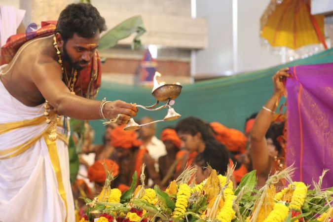 20180414 Photo 1432 18FKfwkYr7TxJqZy18ZPzIIO0hemauVxR.jpg