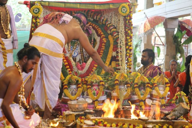 20180414 Photo 1438 12WRaRAybv0kR5vdcaL1xGRcfqXXxYymW.jpg