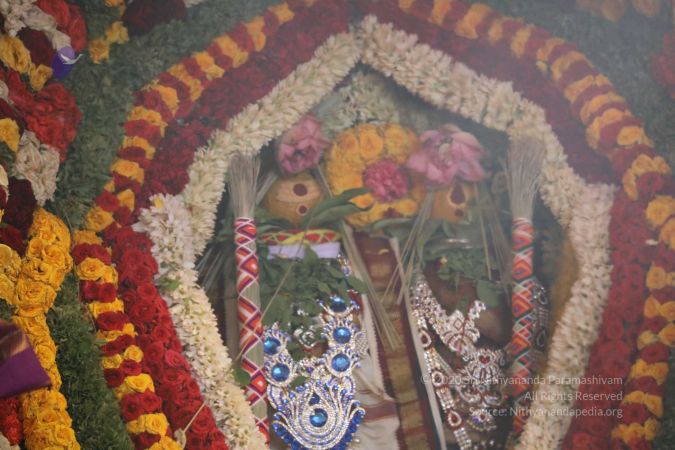 20180414 Photo 1448 1-uFlTUVzpvCeVtNzyN1Xj69lmU9MihJC.jpg