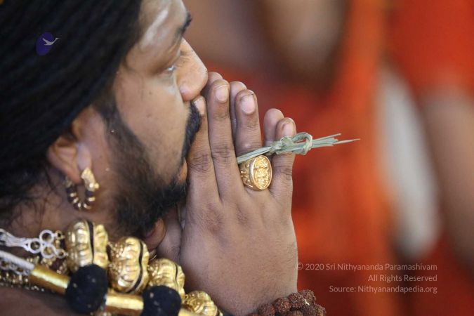 20180414 Photo 1459 1swAM43BRlHWLNG4593JEoMOTltFGpePj.jpg