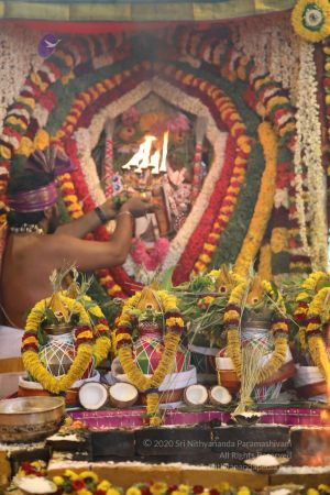 20180414 Photo 1498 1NOjT0bXkoCCe7pxkcaZHOlpXWazhJqZy.jpg