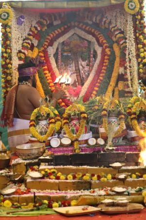 20180414 Photo 1499 1g4mqYaFLyDa7CFyfqEnzPDqgmN51IduP.jpg