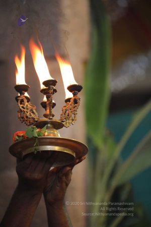 20180414 Photo 1506 1S3eesq5nIsKG861hamLQjCF9VTqL6i9H.jpg