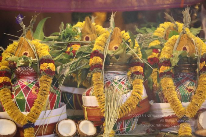 20180414 Photo 1516 1jKFhiYlOw WQLJ9MB5DKEZaqW3nWr9aS.jpg