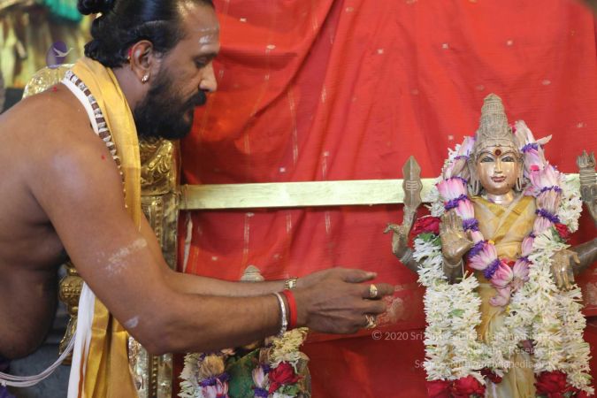 20180414 Photo 1612 19h9KVlxa4iPTgHTOiUxydHh57PDARSOX.jpg