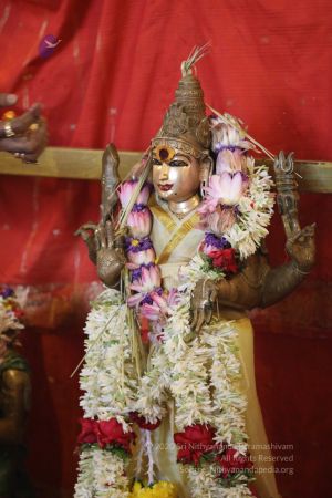 20180414 Photo 1646 1JfYrTzR-t5POTBpkwmncmHmHgnOynRPC.jpg