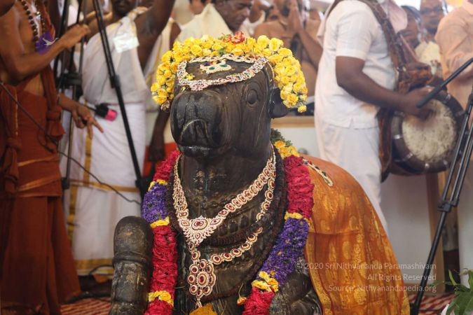 20180414 Photo 1693 1q0i 3T jp1eln1a-u5p1IxSQfByAvc3H.jpg