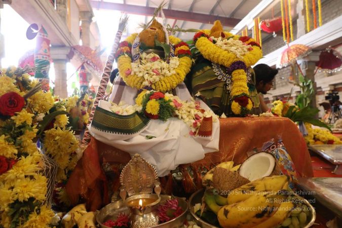 20180414 Photo 1704 1NFcEcJr6zd9UZAkCkgrW4Hz9J2B55y3z.jpg