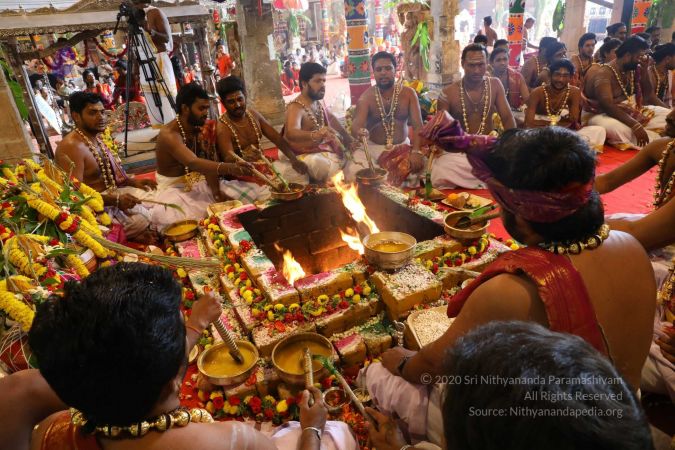 20180414 Photo 1730 1Ee424uUrxEHFlFVpNaWmWovMyFMNGu6G.jpg