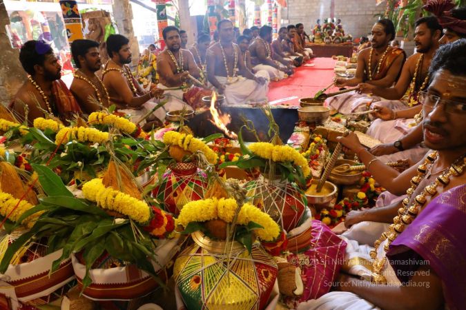 20180414 Photo 1734 1tuofURs1b41EhqR98ouWjWMCgLaRkfuJ.jpg