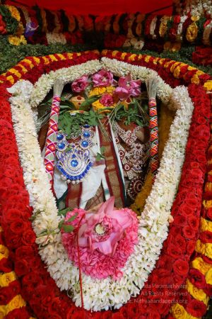 20180414 Photo 1762 1R0XXe86gjjmTM02QdI9Q-pkD986srfx0.jpg